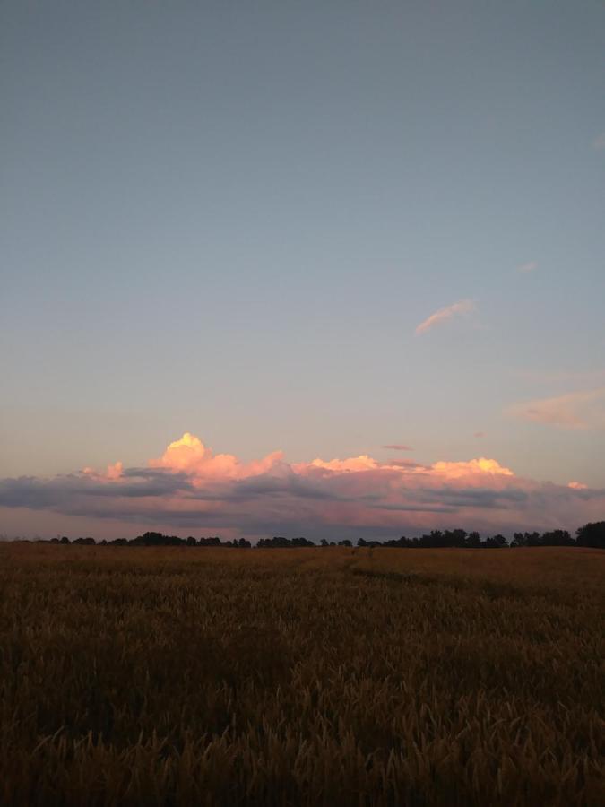 Apartmán Miejsce Mocy Mazury Kolno  Exteriér fotografie