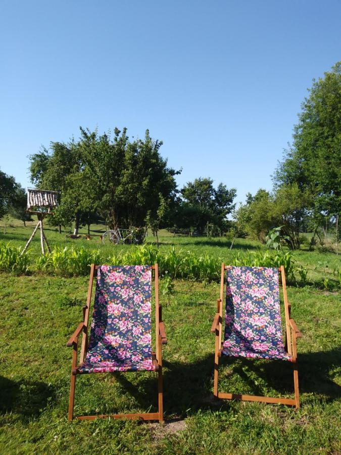 Apartmán Miejsce Mocy Mazury Kolno  Exteriér fotografie