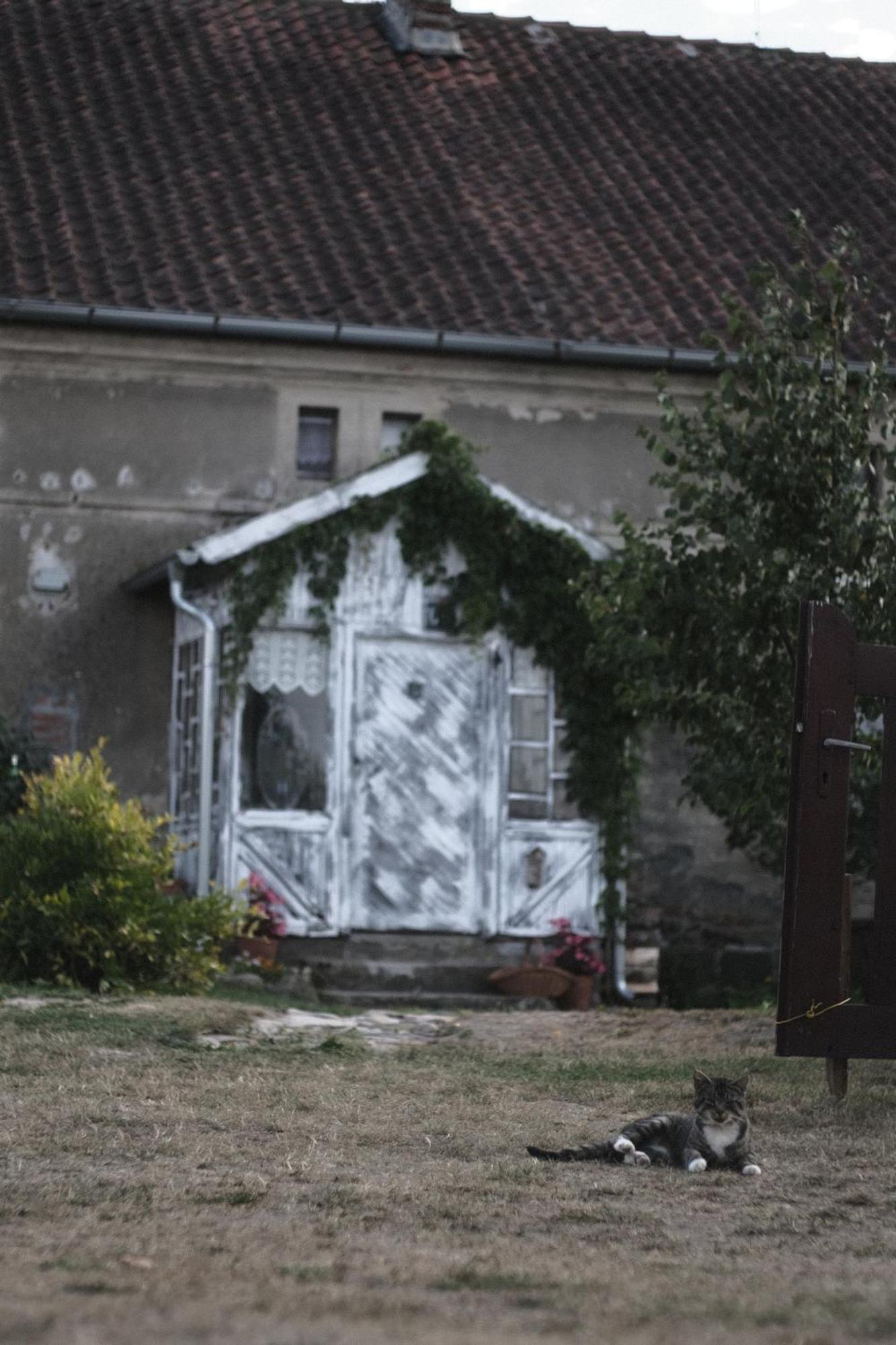 Apartmán Miejsce Mocy Mazury Kolno  Exteriér fotografie